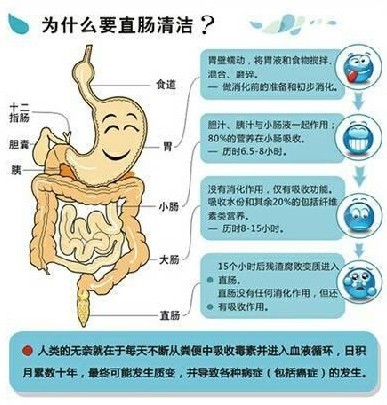 如何清理肠胃 排除身体毒素的方法(图1)