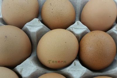 [柴鸡蛋] 怀柔特产柴鸡蛋专题(图1)