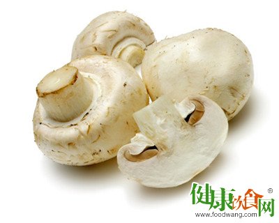 蘑菇的种类和蘑菇的防病养生功效