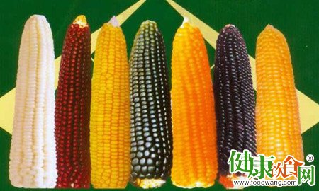 不同颜色的玉米其营养保健功效也各不相同