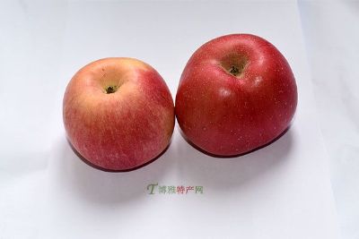 [喀拉布拉苹果] 新源县特产喀拉布拉苹果专题(图1)