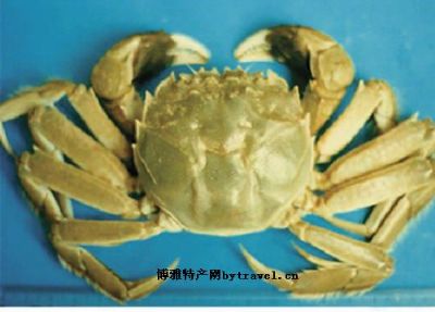 [西海龙蟹] 博湖县特产西海龙蟹专题(图1)