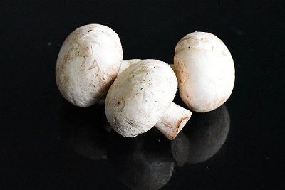 [野生胡杨蘑菇] 麦盖提特产野生胡杨蘑菇专题(图1)