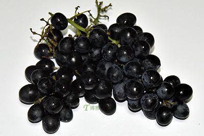 [红松葡萄] 高淳特产红松葡萄专题(图1)