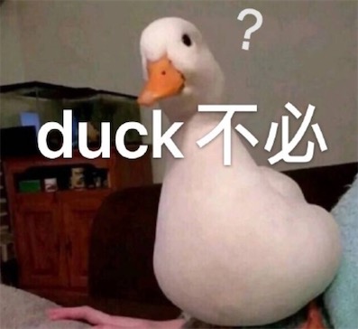 duck不必是什么意思什么梗 duck不必是大可不必的谐音(图1)