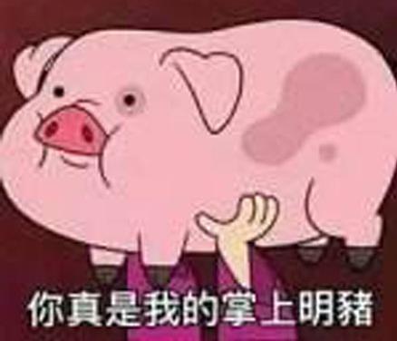 猪猪女孩是什么意思什么梗？什么是精致的猪猪女孩(图5)