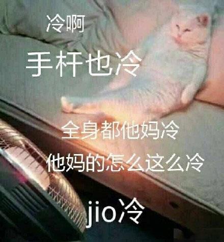 泡jio是什么意思什么梗？jio是哪个地方的方言 一起泡jio表情包(图2)